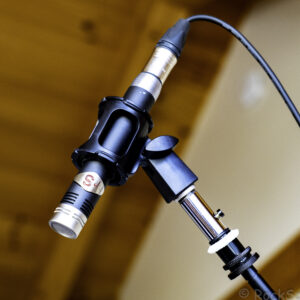 sdc mic mod